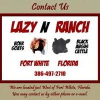 10373804 770974166281749 7238258473035595407 n 1.jpg nc cat107ccb1 3 nc siddbb9e7 nc ohcSnRVP65J2L4AX9A8 O1 nc htscontent sjc3 1 1