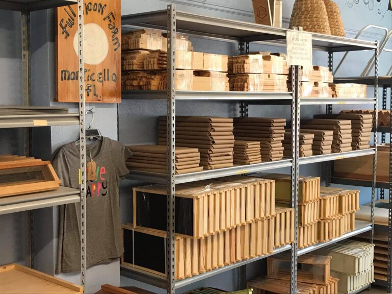 171544871 3968944749818778 4370325940078651673 n 1 768x576