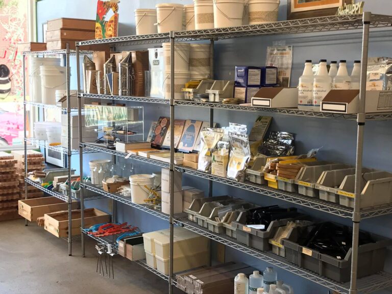 172009061 3968944806485439 7946981446256053308 n 1 768x576