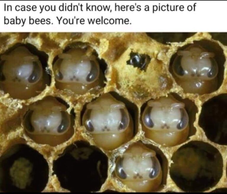 180202921 1182832722156673 1273590560401758905 n 1 768x654