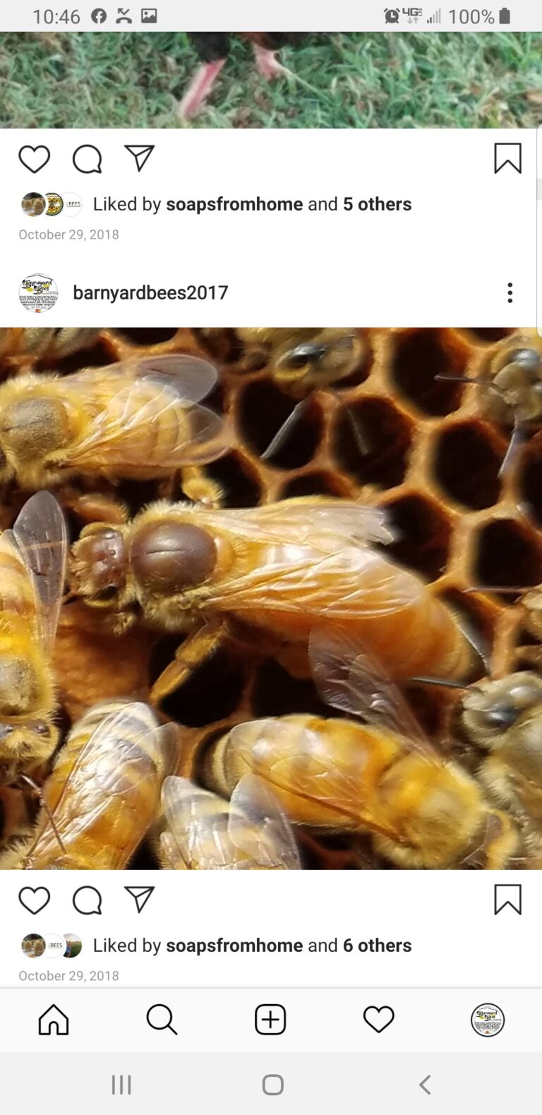 Screenshot 20200403 104639 Instagram 768x1579