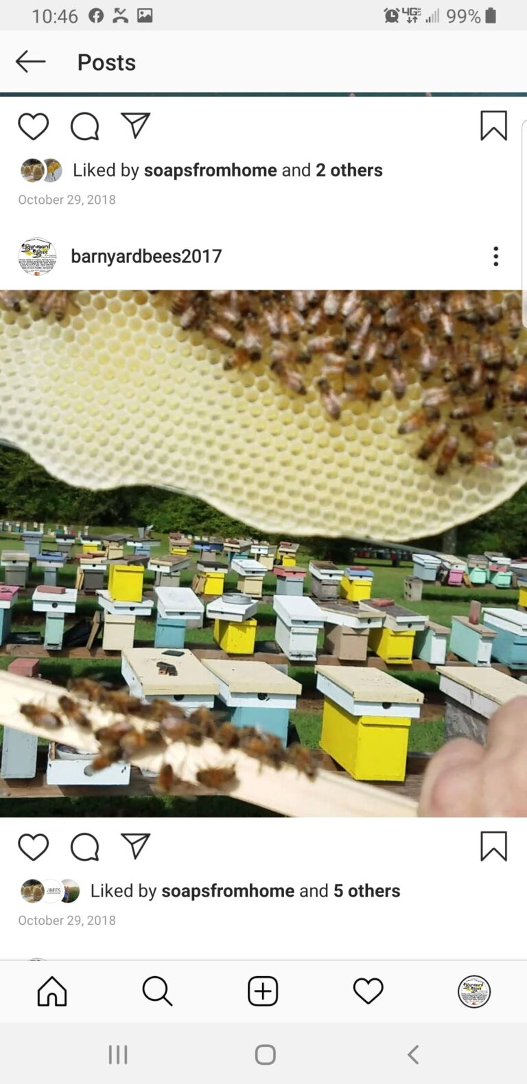 Screenshot 20200403 104648 Instagram 768x1579