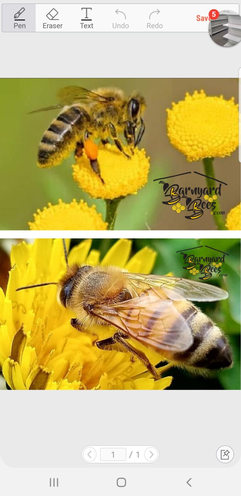 Screenshot 20210301 141626 Write on PDF 768x1579