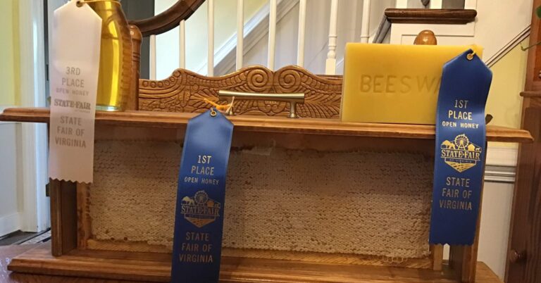 118697008 195341345274454 7188711556015793395 n 1 768x402