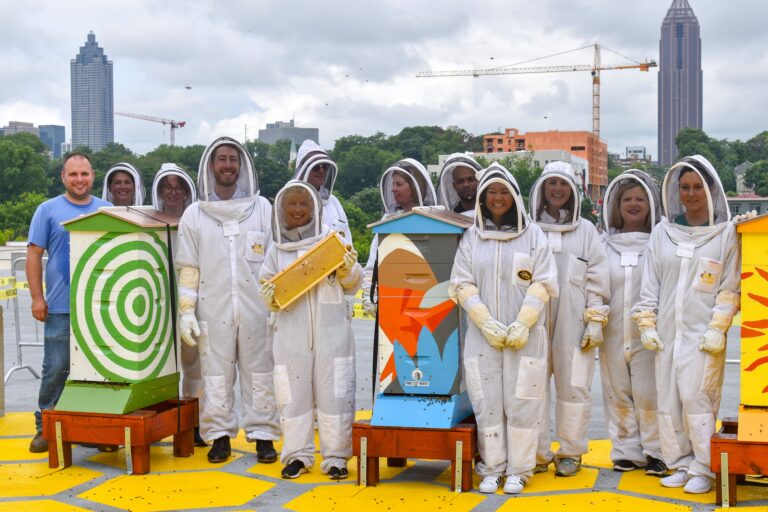 beedowntown4 768x512